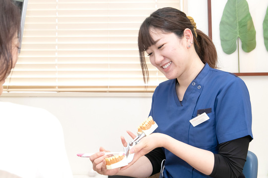 歯科衛生士の求人募集要項 転職 就職なら熊本市東区のさくらのもり歯科医院へ